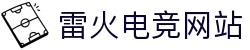 雷火·竞技(中国)-全球领先的电竞赛事平台